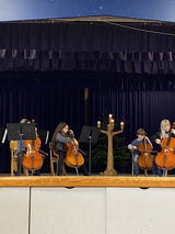 Tilskud til en ny koncertsal - 300kr.